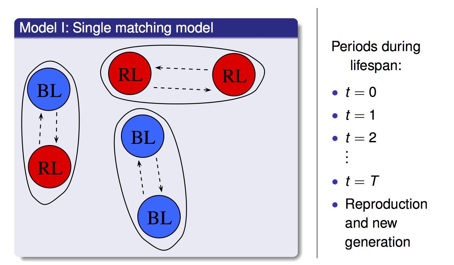 Research theme b